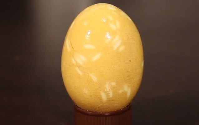 пятнистое яйцо